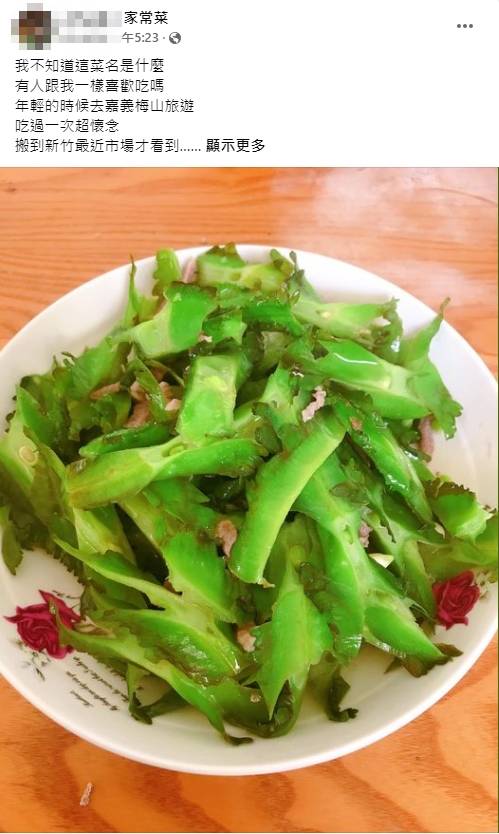 吃完會懷念 市場 鋸齒 蔬菜曝光饕客讚 超美味 Tvbs Line Today