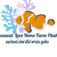 Thanawat Love Nemo Farm Phuket