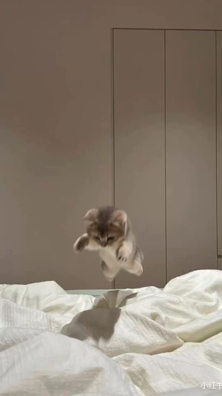 ライトや雑談！非リアもリア充なっちゃお！！！！