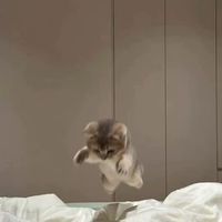 ライトや雑談！非リアもリア充なっちゃお！！！！