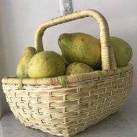 柚與你在一起