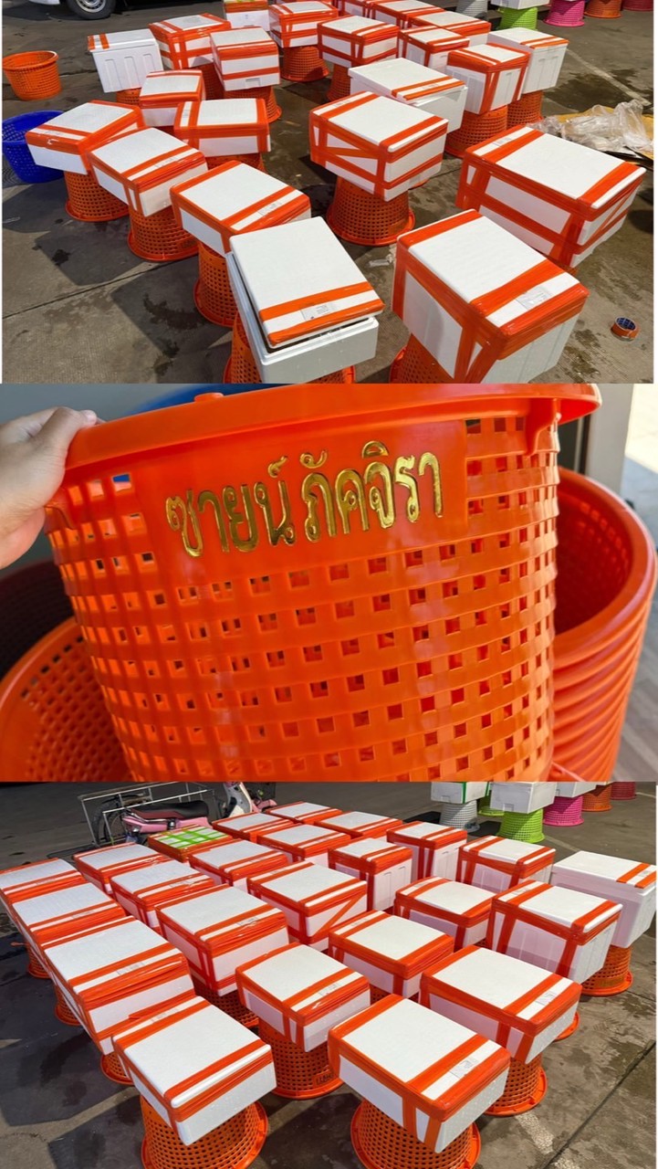 อาหารแปรรูปแช่แข็งราคาส่ง By.ซายน์