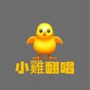 🐥小雞翻唱團