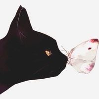 幸福的事—斷捨離
