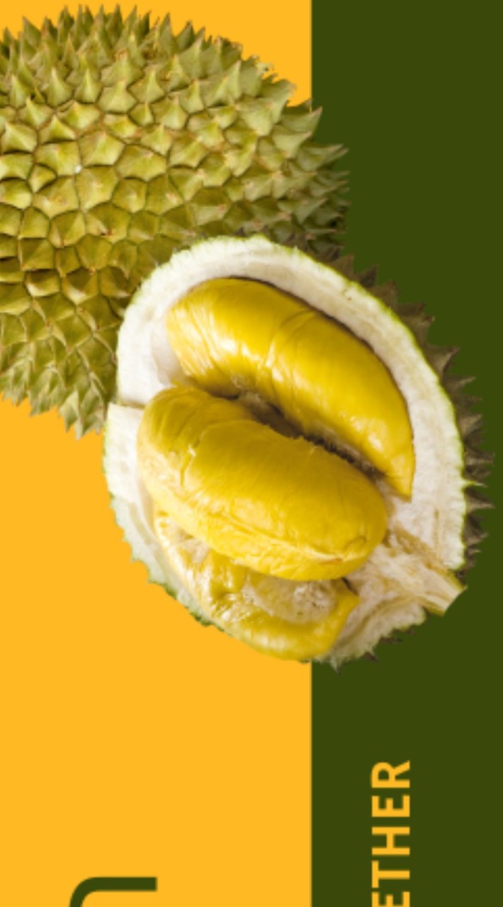 FC Durian เอฟซีทุเรียน เกรดพรีเมี่ยม