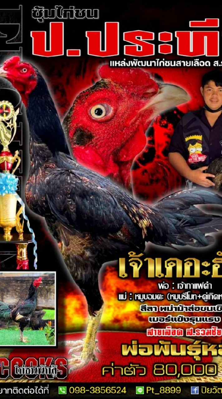 ป.ประทีป (สายเลือด ส.รวมชัย)