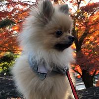 東京、千葉、埼玉、神奈川の落ち着いて探したい方の賃貸不動産#審査不安な方#納得の行く物件を探したい方