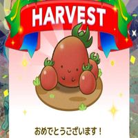 カウシェ「これ良かった‼️」レビュー雑談