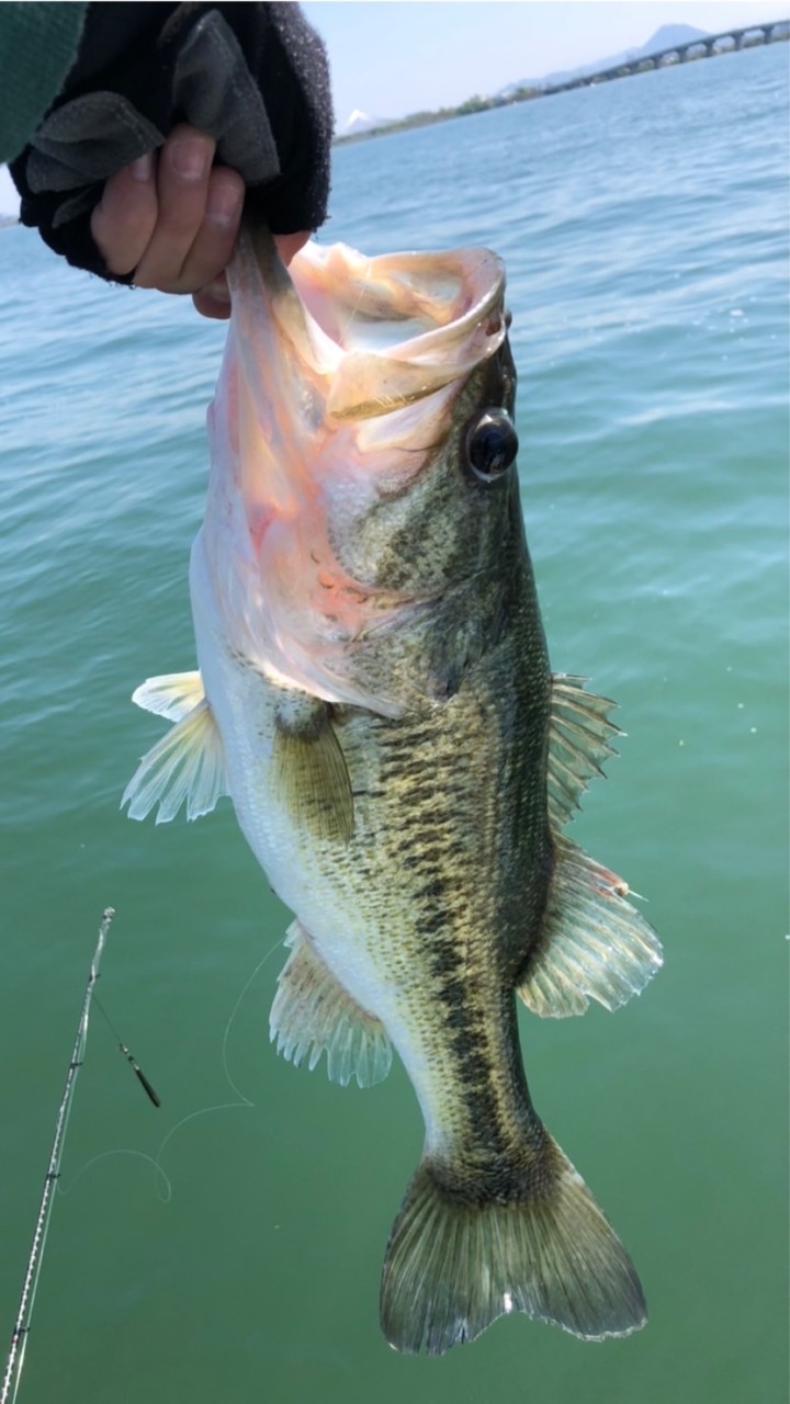 釣り好き集まれ！