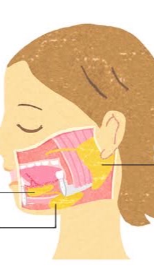 ドライマウス・唾液が出ない苦痛