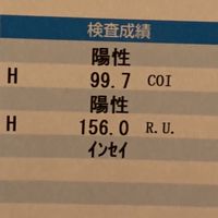 ジャガイモ収容チャット💬🥔