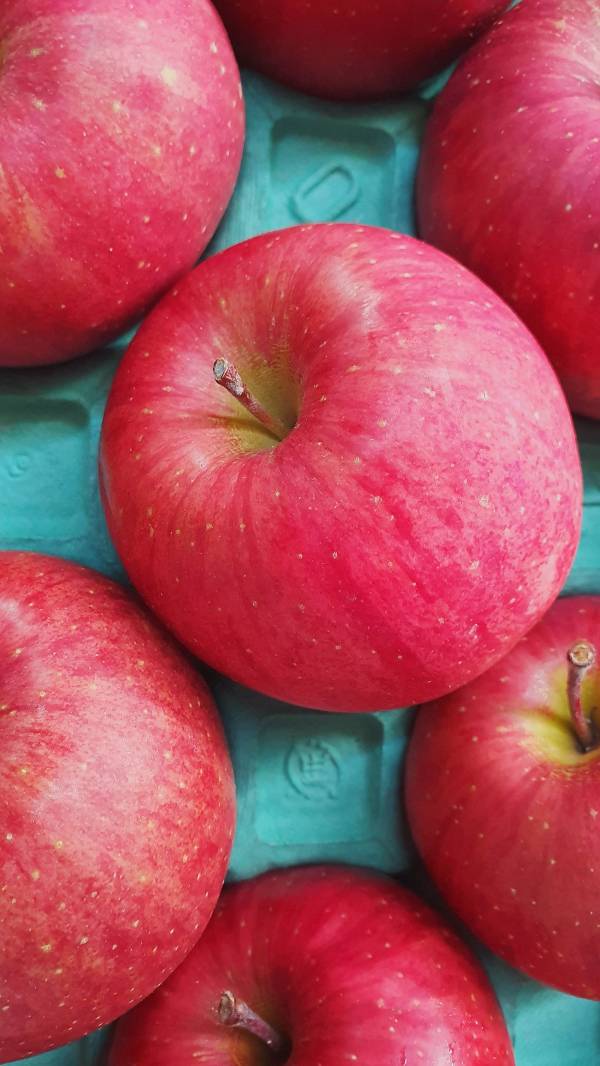 經濟實惠-日本青森蜜蘋果(40顆原裝)