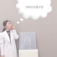 淳粹的多重宇宙