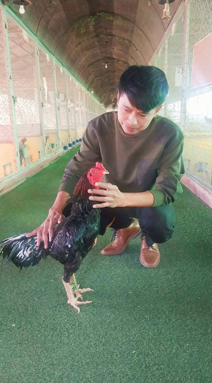 กัปตันฟาร์ม ไก่ชน อุดรฯ