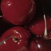 Cherry Boy