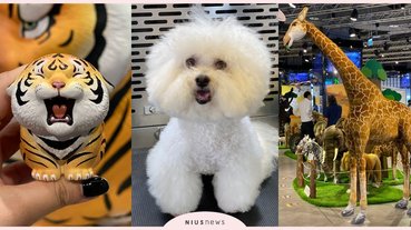 「寵物選品快閃展」三創強勢登場！擬真動物展必打卡，現場還有11分鐘自助毛孩SPA