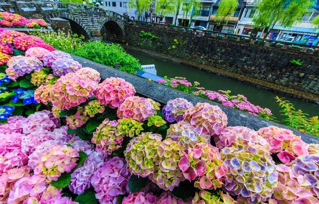 日本梅雨季限定 丟掉濕熱迎接繽紛的紫陽花 All About Japan Line Today