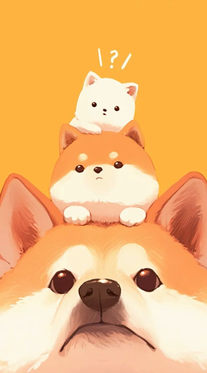 カオスオプ