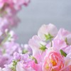 誰でもおいで、ここはあなたの居場所