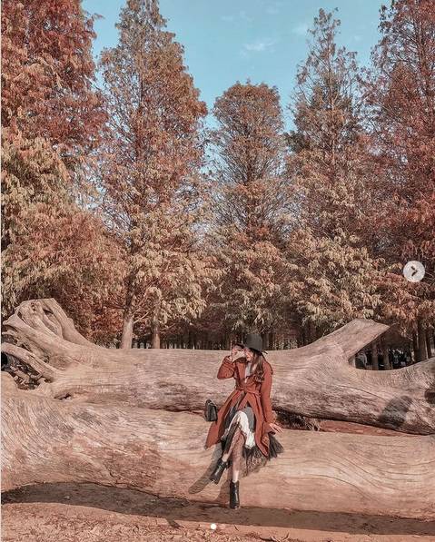 圖片來源：IG @shih_su