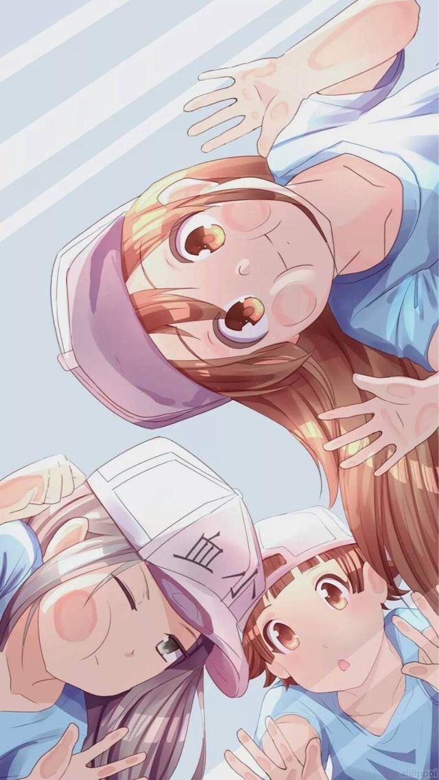 動畫討論區