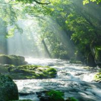千葉県茨城県(雑談、交流)
