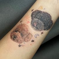 肥老弟團購（石牌北投天母）