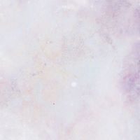 心輔系-認知主義家族