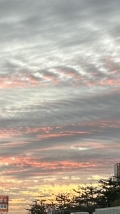 半線公民在台灣