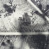 荒野桃園解說團