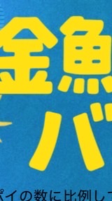 TikTokライト協力