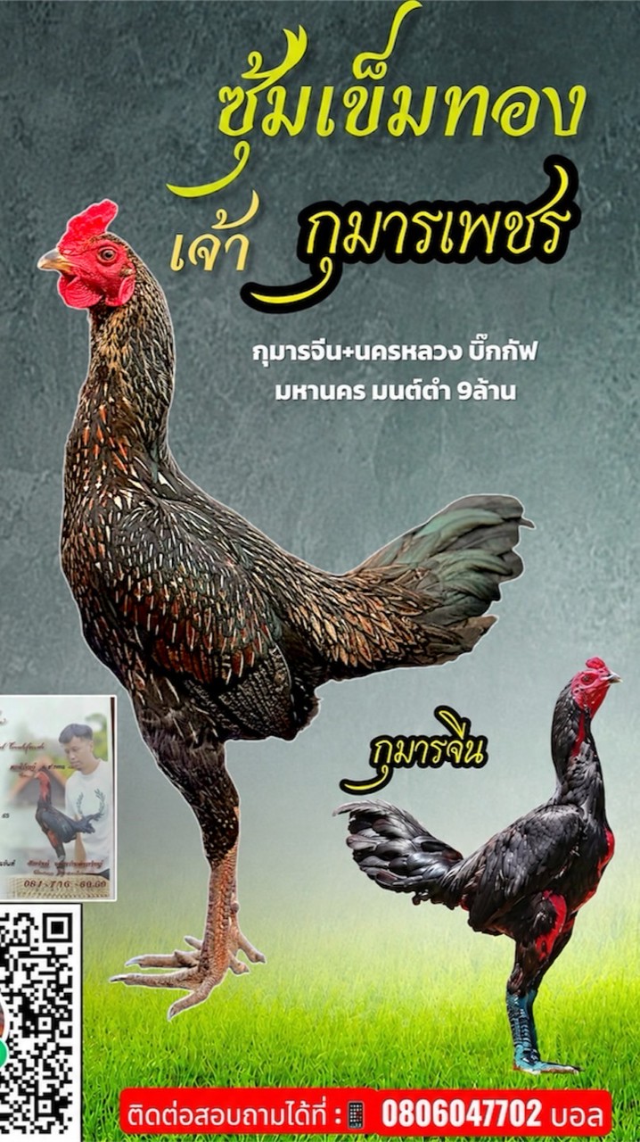 เข็มทองฟาร์ม&พม่าเบอร์แข้ง