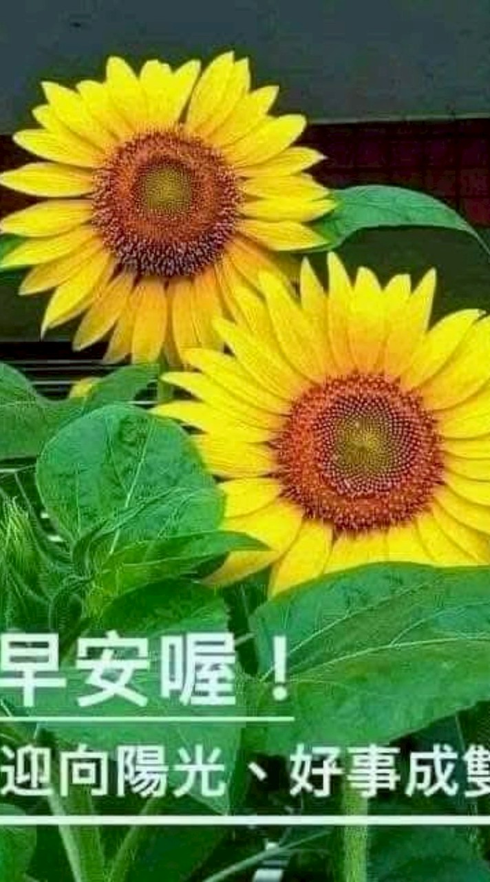 老人天地❣️