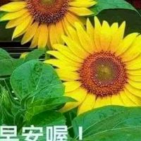 老人天地❣️