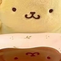 🇯🇵プリンのひみつ倉庫 🧸日本代購限定