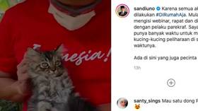 Keistimewaan Pelihara Kucing, Dosa Diampuni hingga Disayang 