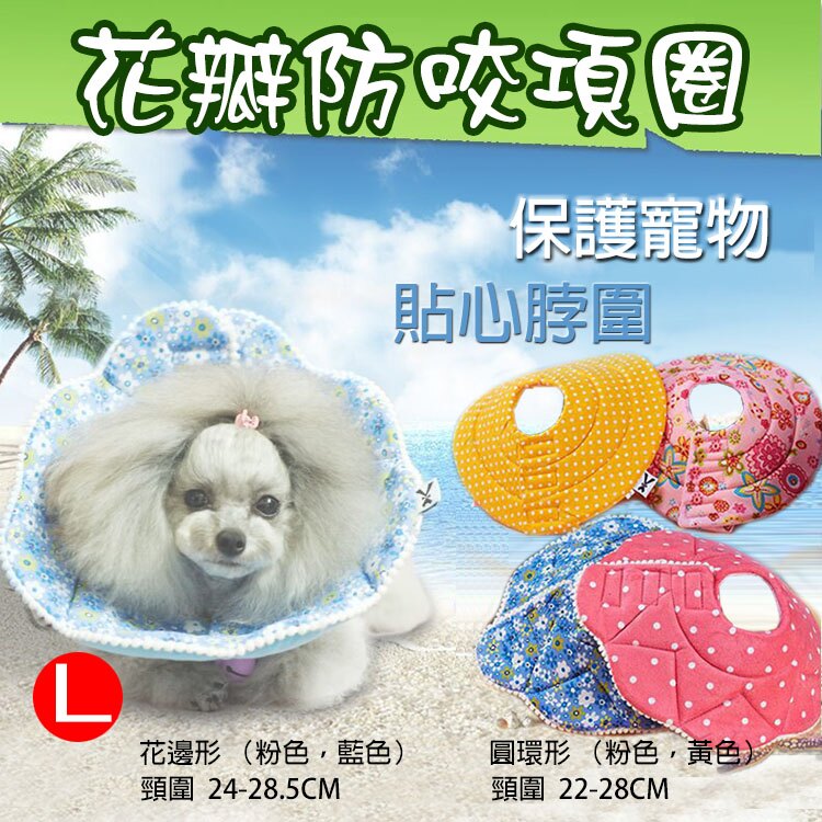 攝彩@伊莉莎白防咬項圈-花瓣款 L號 保護寵物 貼心脖圍 精緻設計 牢固耐用 貓狗寵物防咬圈 醫療美容頭套防舔保護圈