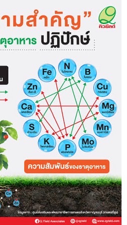 ทำธาตุอาหารพืชใช้เอง