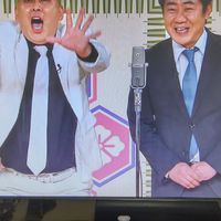錦鯉を応援しよう