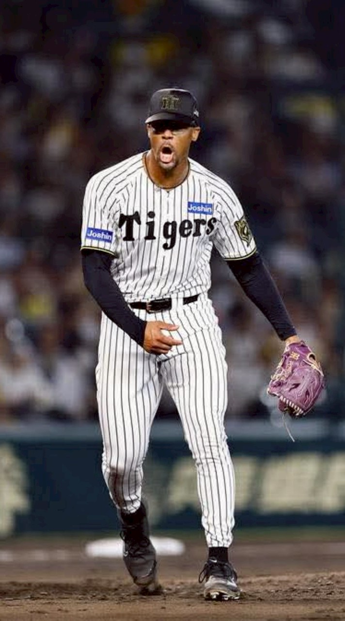 🐯The・虎党軍団！！