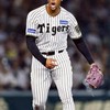 🐯The・虎党軍団！！