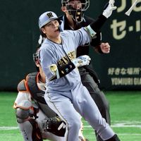 🐯The・虎党軍団！！