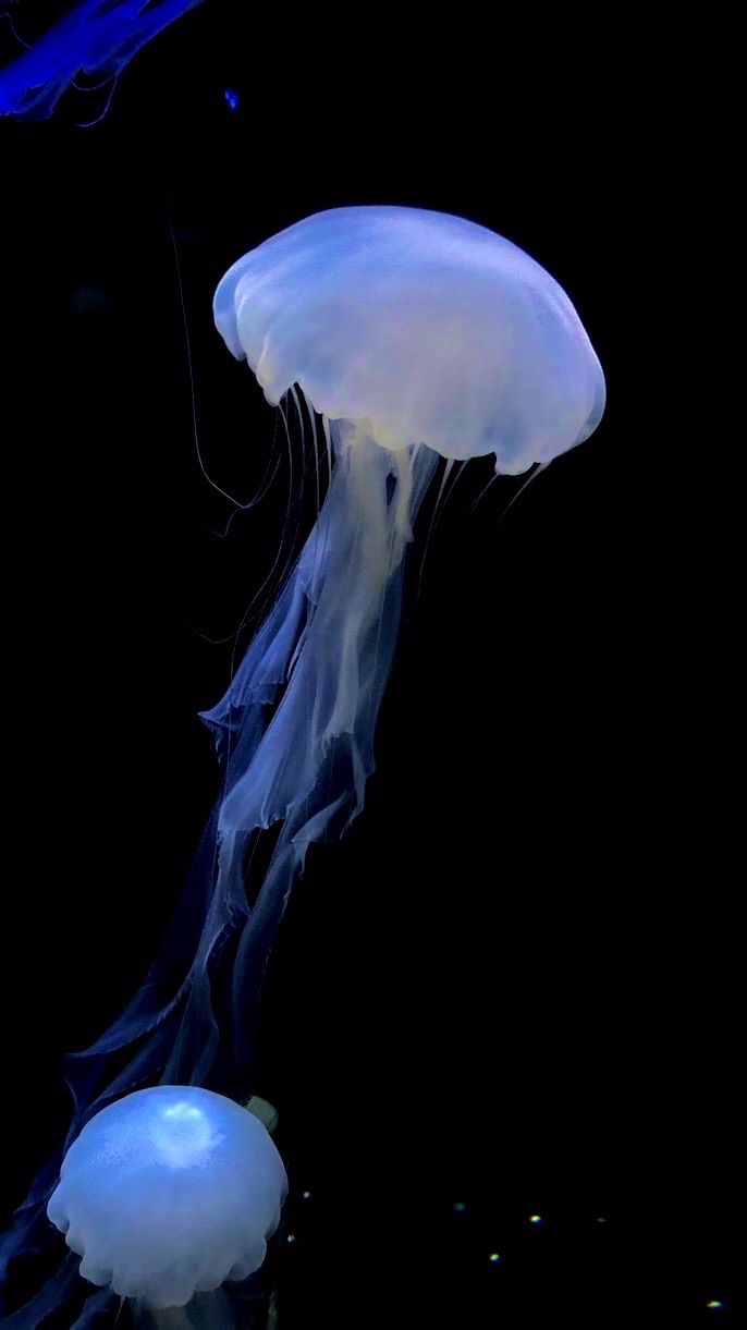 暇、潰しませんか。