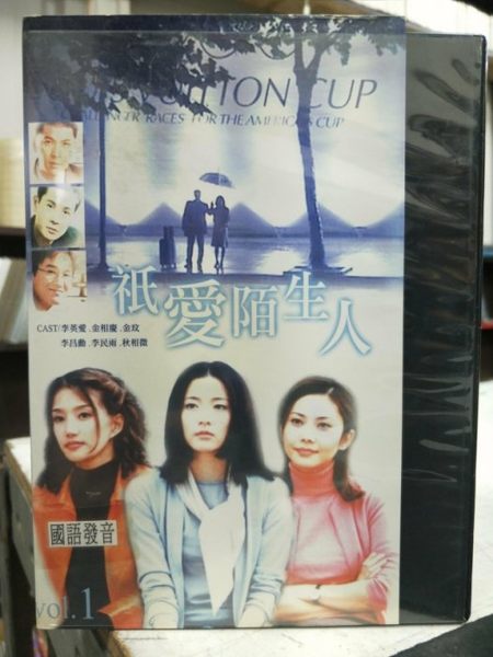 挖寶二手片-S76-032-正版VCD-韓劇【祇愛陌生人 全20集18碟】-李英愛