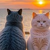 大家一起來聊天！ʕ⁠´⁠•⁠ ⁠ᴥ⁠• ʔ陪我們一起玩！