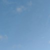ロブロックスの卵を盗むとペットに乗るやろーよ