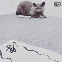 紫微斗數論命社群