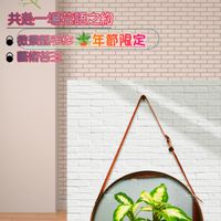🪴植優工室🪴