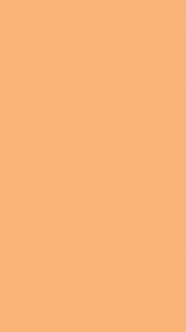 สีแสดแตดส้ม 🧡ปี69🧡