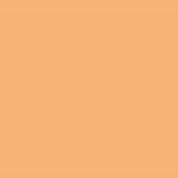 สีแสดแตดส้ม 🧡ปี69🧡